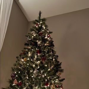 Meet your Posher, Stephen